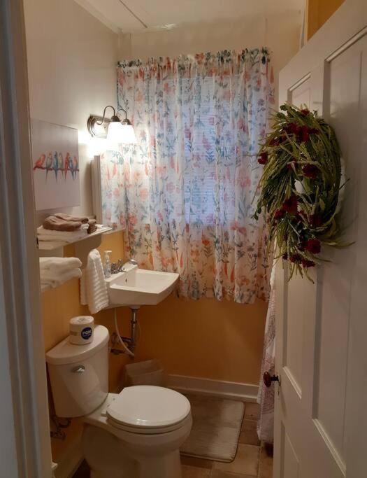 #05 - Lakefront Two Bedroom Cottage- Pet Friendly Hot Springs Exteriér fotografie